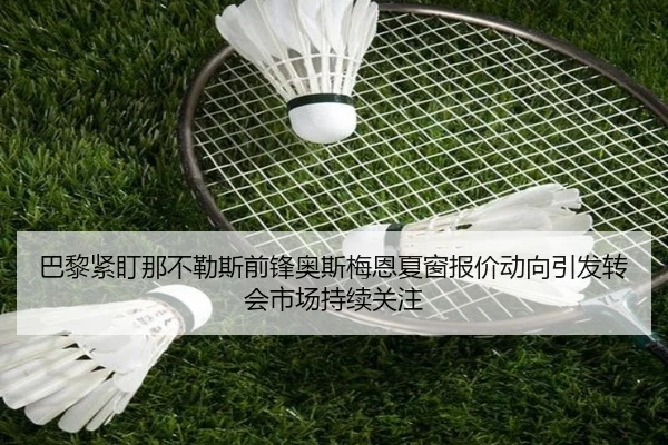 巴黎紧盯那不勒斯前锋奥斯梅恩夏窗报价动向引发转会市场持续关注