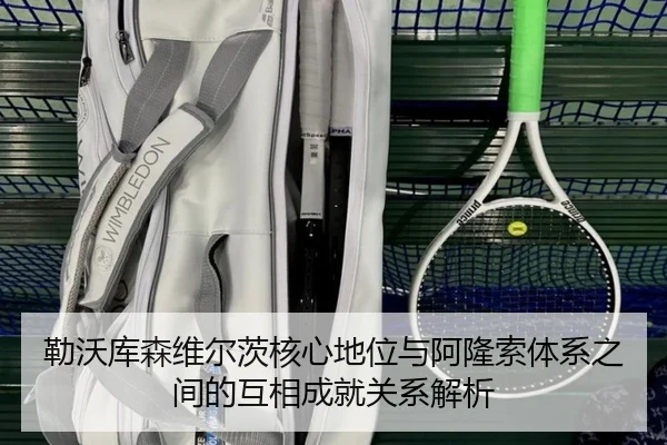 勒沃库森维尔茨核心地位与阿隆索体系之间的互相成就关系解析