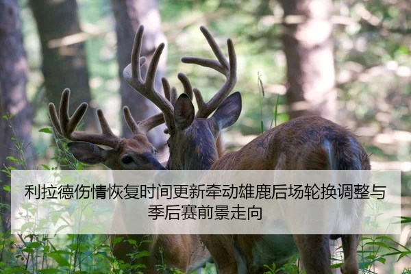 利拉德伤情恢复时间更新牵动雄鹿后场轮换调整与季后赛前景走向